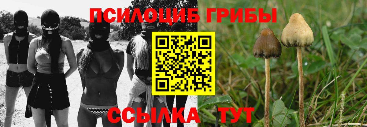 Галлюциногенные грибы GOLDEN TEACHER  Вход с VPN  Галлюциногенные грибы ЛСД  Ирбит 
